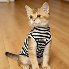 Pet Autumn and Winter Base Layer