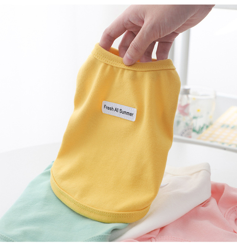 Pet Spring Summer Base Layer
