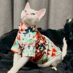 Pet Autumn and Winter Base Layer