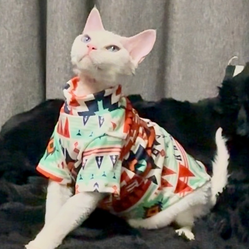 Pet Autumn and Winter Base Layer