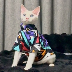 Pet Autumn and Winter Base Layer