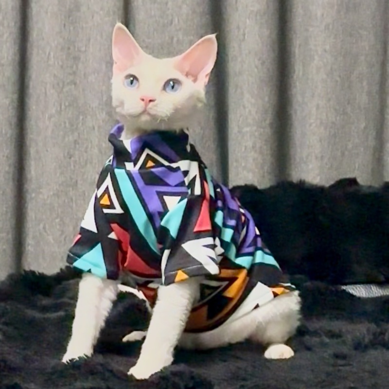 Pet Autumn and Winter Base Layer