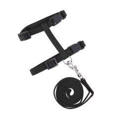 Pet Harness for Tiny Kittens