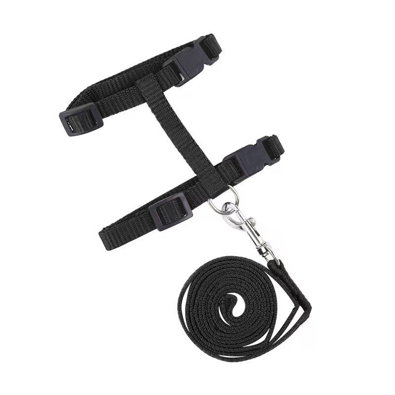Pet Harness for Tiny Kittens