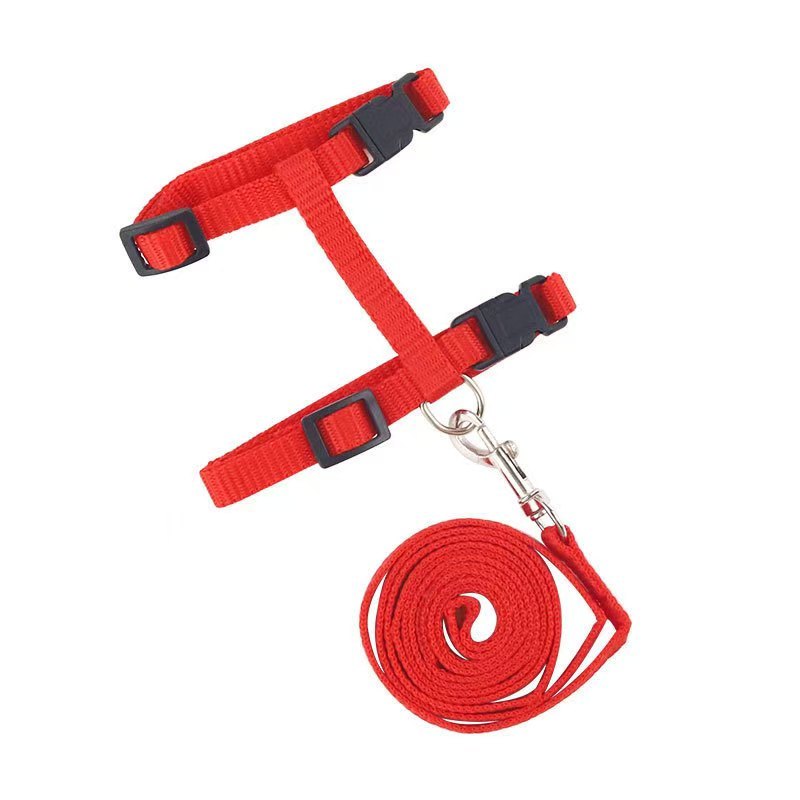 Pet Harness for Tiny Kittens