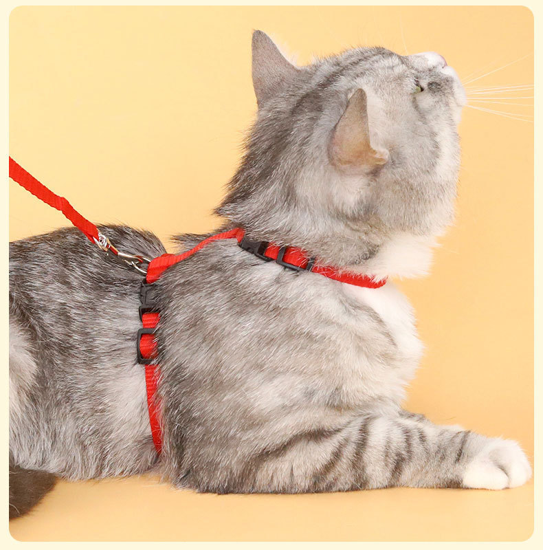 Pet Harness for Tiny Kittens