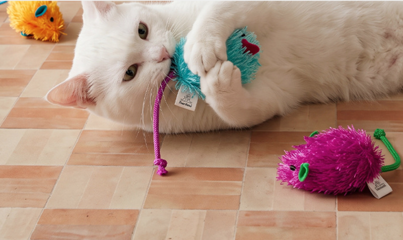 Plush Catnip Toy for Cats