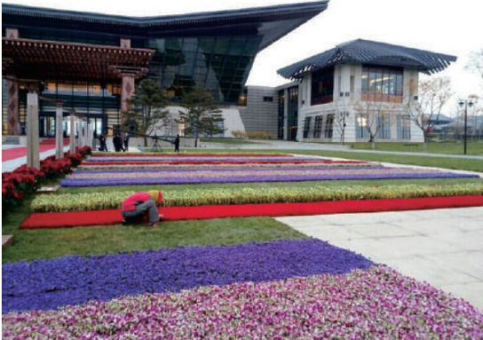 APEC Conference LandscapeDesign（Beijing）