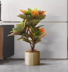 Changeleaf Wood