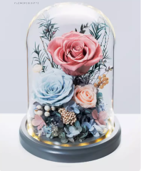 Everlasting Flower-1