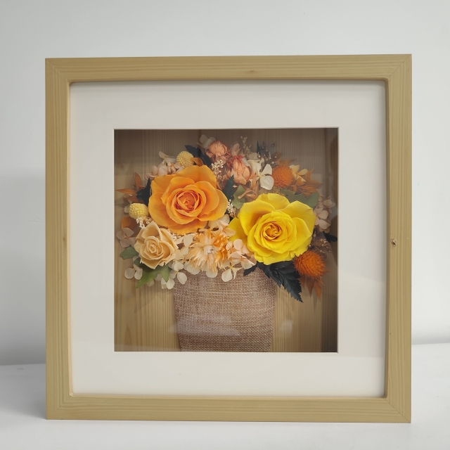 Everlasting flower-6