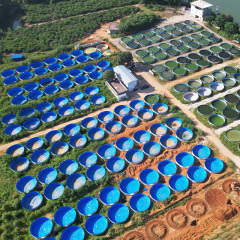 Easily Assemble Large Capacity Pvc Tarpaulin Plastic Tanks for Fish Farming RAS System Tilapia Catfish Pond,YUTANK