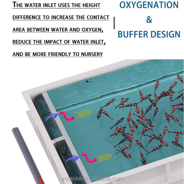 OEM Polypropylene No Rusty Fish Tanks Small Koi Ponds Fish Nursery Square Tank for Ras,YUTANK