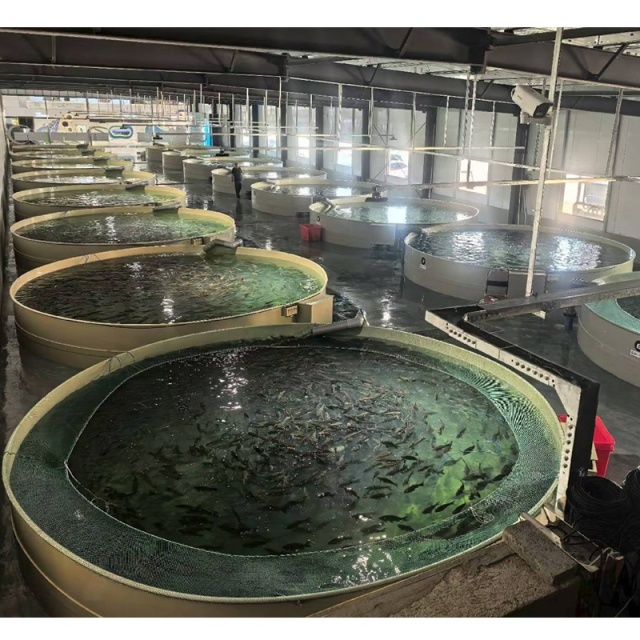 Round PP Fish Tank | Aquaculture Fish Tank for Fish & Shrimp Farming System,YUTANK,PP Fish Tank