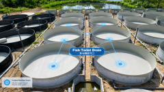 Customizable PP PVC Fish Pond Bottom Drain | Waste Removal Outlet for Koi Pond Water Circulation & Aquaculture Sewage System 420×240mm | YUTANK,유탱크,PP PVC Fish Pond Bottom Drain System | Koi Pond Waste Removal Outlet for Aquaculture Sewage & Water Circulation System 420×240mm | YUTANK Factory Supply