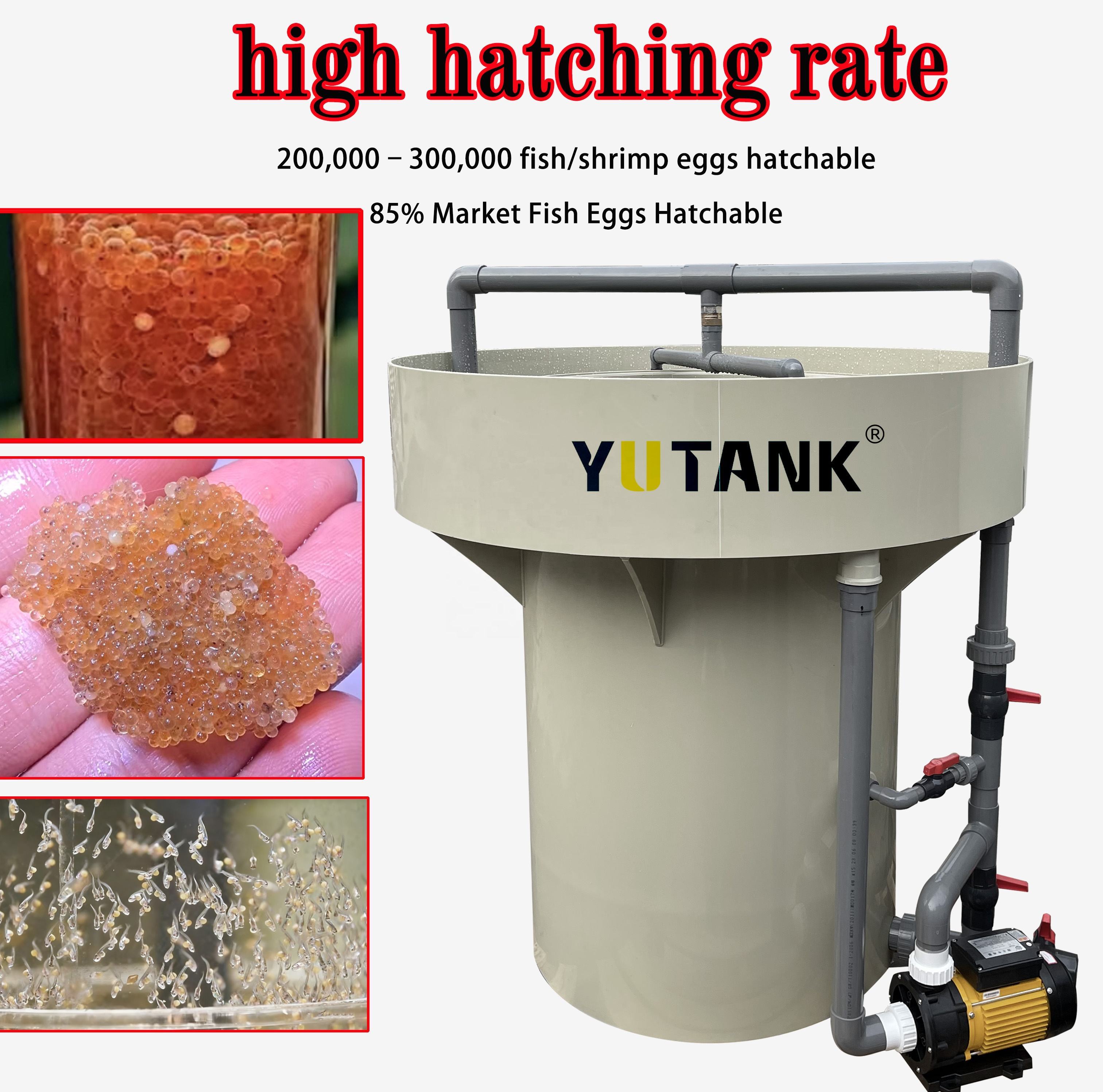 Vertical Fish Egg Incubator | Stackable Hatchery Jar System for Tilapia & Aquaculture Breeding Eggs Hatching Equipment,ยูแทงค์,Fish Egg Incubator Vertical Hatchery System | Stackable Aquaculture Breeding Jars for Tilapia & Fish Fry Hatching Equipment