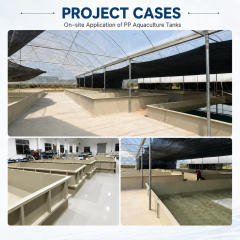 Square PP Fish Pond Tank for RAS Breeding | YUTANK,YUTANK,Square PP Fish Pond Tank for RAS Breeding | YUTANK