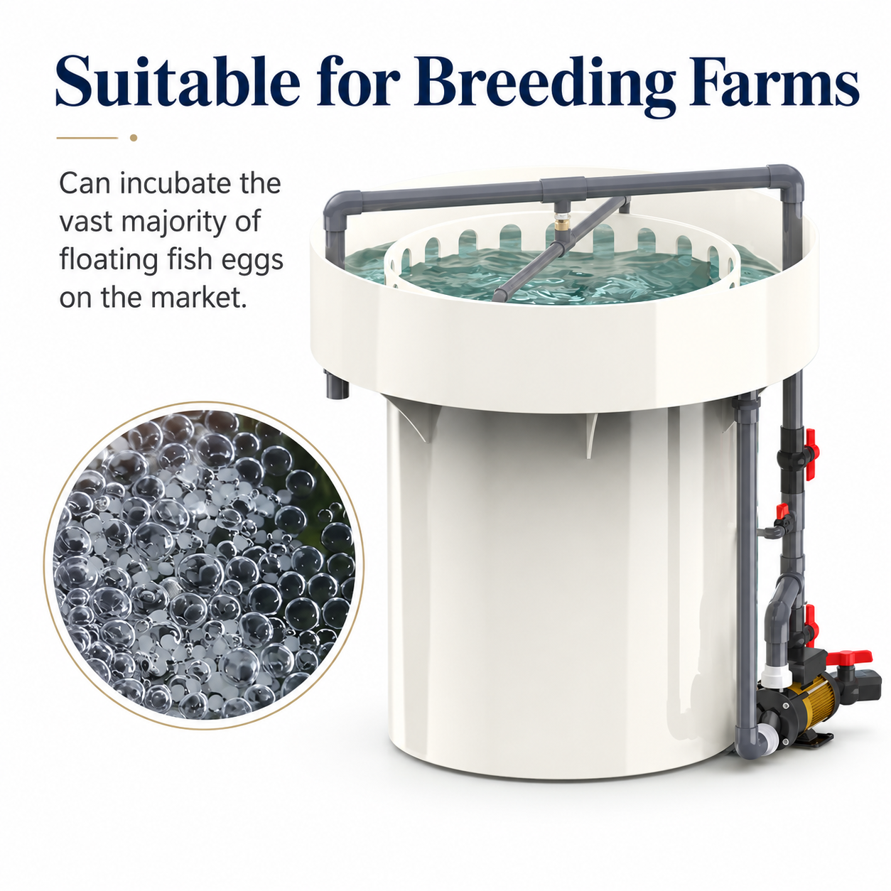 Automatic Fish Egg Incubator for Aquaculture | YUTANK,YUTANK,Automatic Fish Egg Incubator for Aquaculture | YUTANK