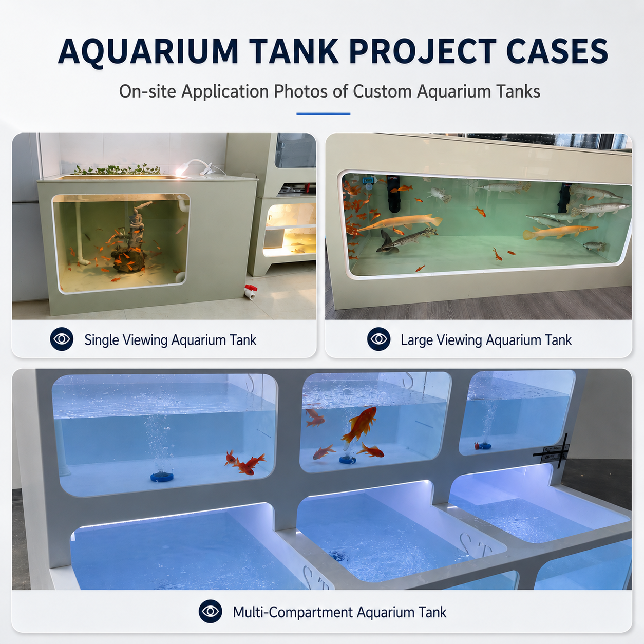 Square PP Fish Pond Tank for RAS Breeding | YUTANK,YUTANK,Square PP Fish Pond Tank for RAS Breeding | YUTANK