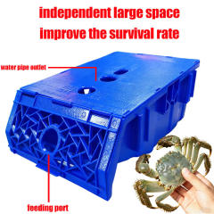 Boîte d'élevage de crabes de vase pour système RAS | YUTANK,YUTANK,Boîte d'élevage de crabes de vase pour système RAS | YUTANK