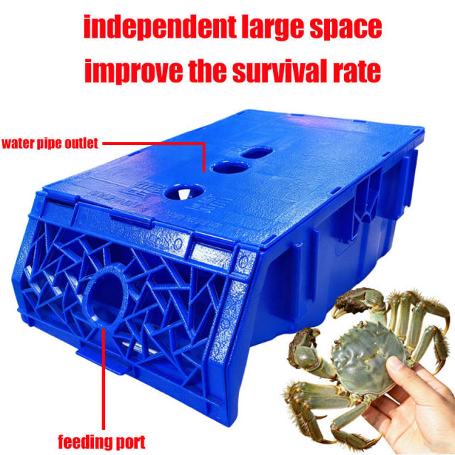 Boîte d'élevage de crabes de vase pour système RAS | YUTANK,YUTANK,Boîte d'élevage de crabes de vase pour système RAS | YUTANK
