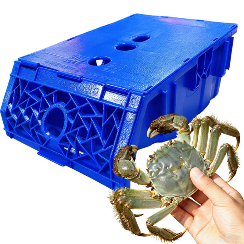 Boîte d'élevage de crabes de vase pour système RAS | YUTANK,YUTANK,Boîte d'élevage de crabes de vase pour système RAS | YUTANK
