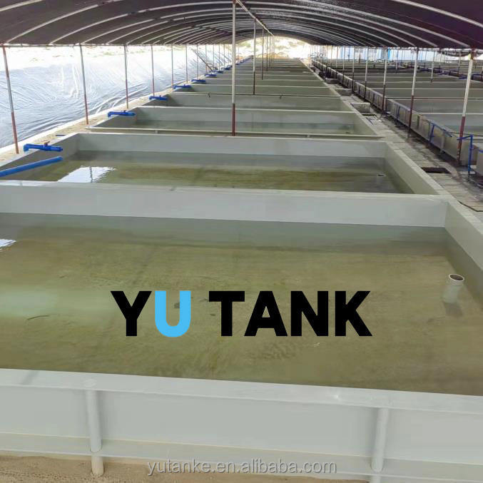 Acquario quadrato per avannotti per sistema RAS | YUTANK,YUTANK,Acquario quadrato per avannotti per sistema RAS | YUTANK