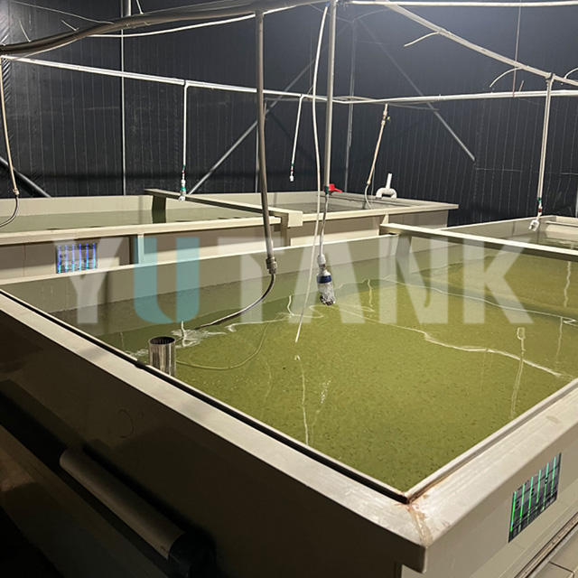 Acquario quadrato per avannotti per sistema RAS | YUTANK,YUTANK,Acquario quadrato per avannotti per sistema RAS | YUTANK