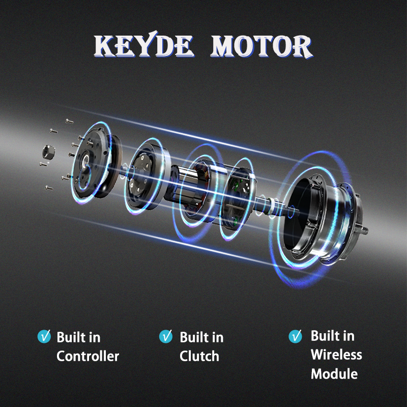 P110 Wireless Front Hub Motor, 36V 250W Electric Motor For Bike, 2.3Kg High Power Ebike Motor