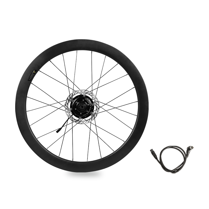 142mm Thru-axle Rear Hub Motor Rim, 36V 250W Electric Motor For Bike, Ebike Motor Built-in Controller