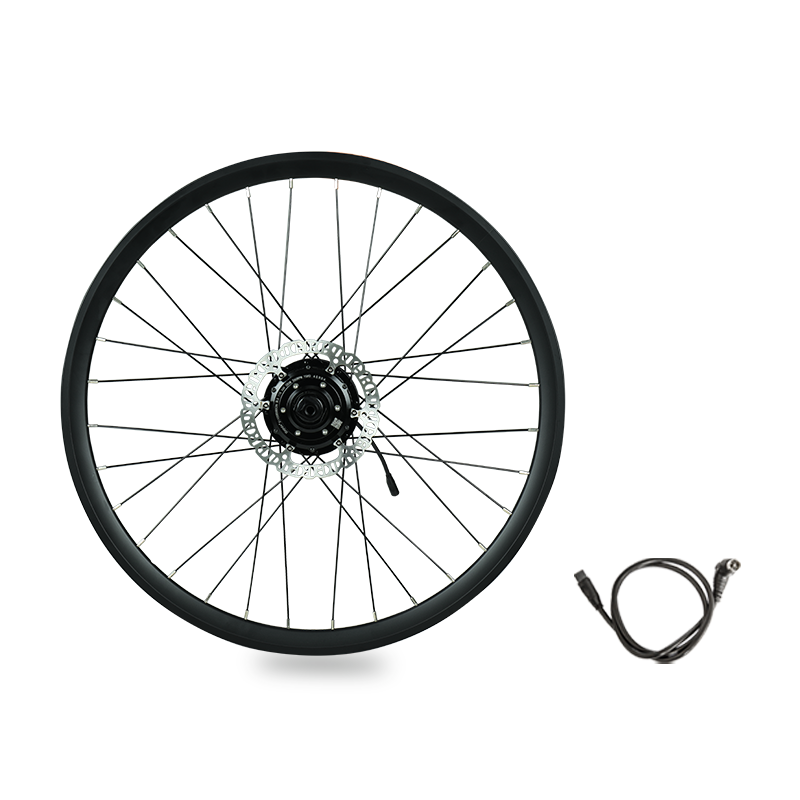 148mm Thru-axle Rear Hub Motor Rim, 36V 250W Electric Motor For Bike, Ebike Motor Built-in Controller