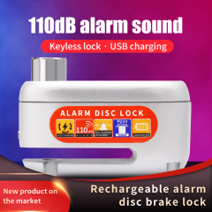 Anti-theft Lock D3