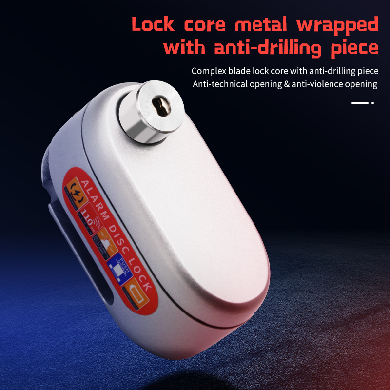 Anti-theft Lock D3