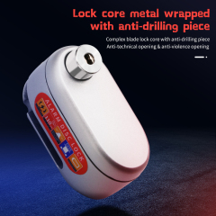 Anti-theft Lock D3