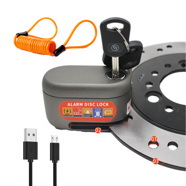Anti-theft Lock D3