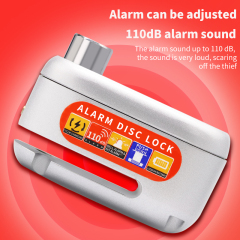 Anti-theft Lock D3