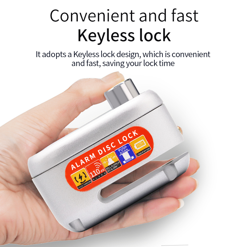Anti-theft Lock D3