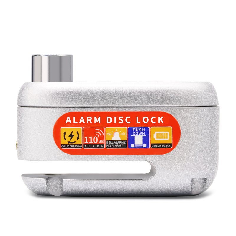 Anti-theft Lock D3