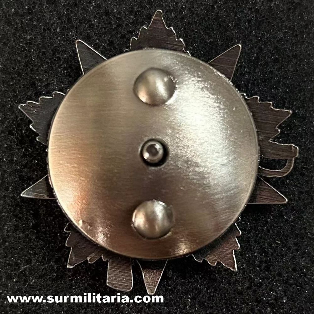 The Order of the Patriotic War, 2st class