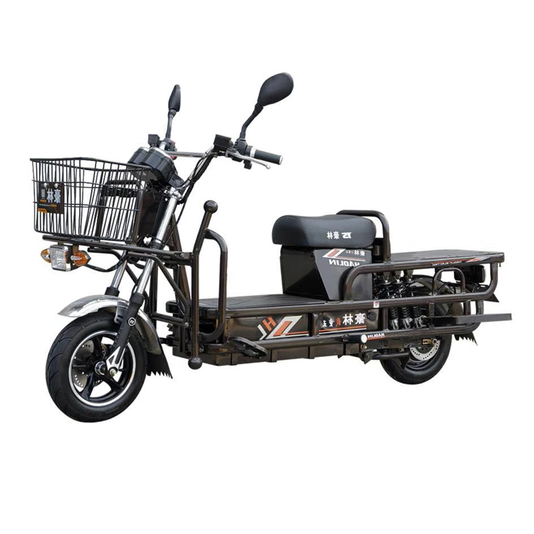 SHILU-ZW02 Two Wheels Electric Loader Scooter
