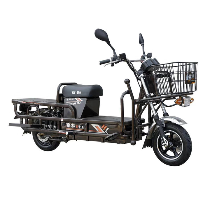 SHILU-ZW02 Two Wheels Electric Loader Scooter