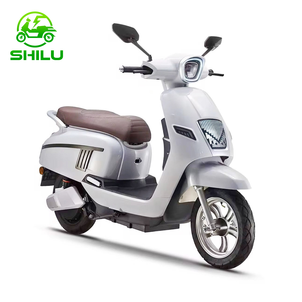 SHILU-NS Electric Scooter