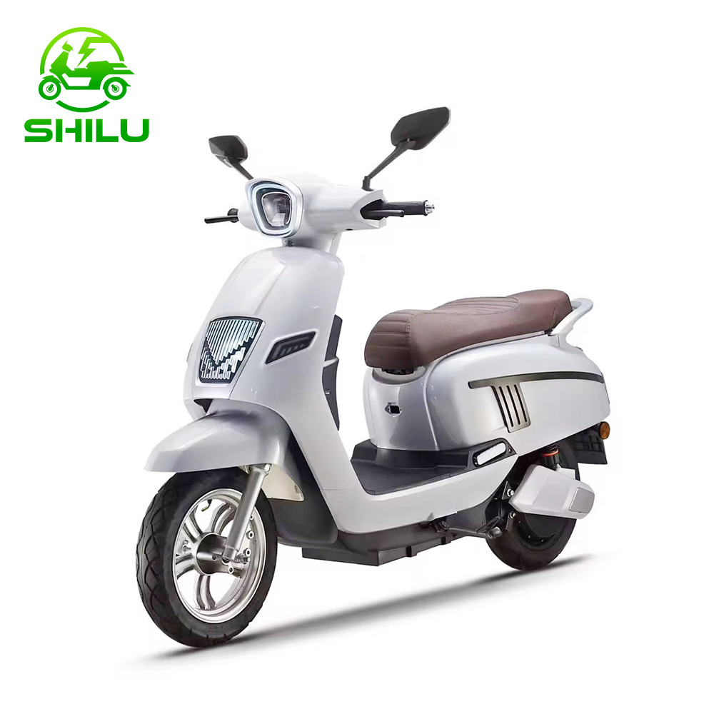 SHILU-NS Electric Scooter