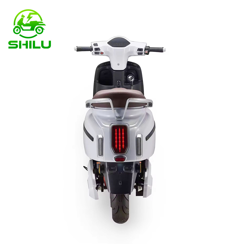 SHILU-NS Electric Scooter