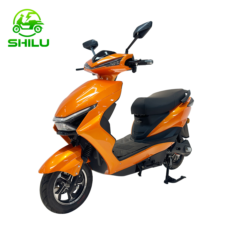SHILU-CJY Electric Scooter