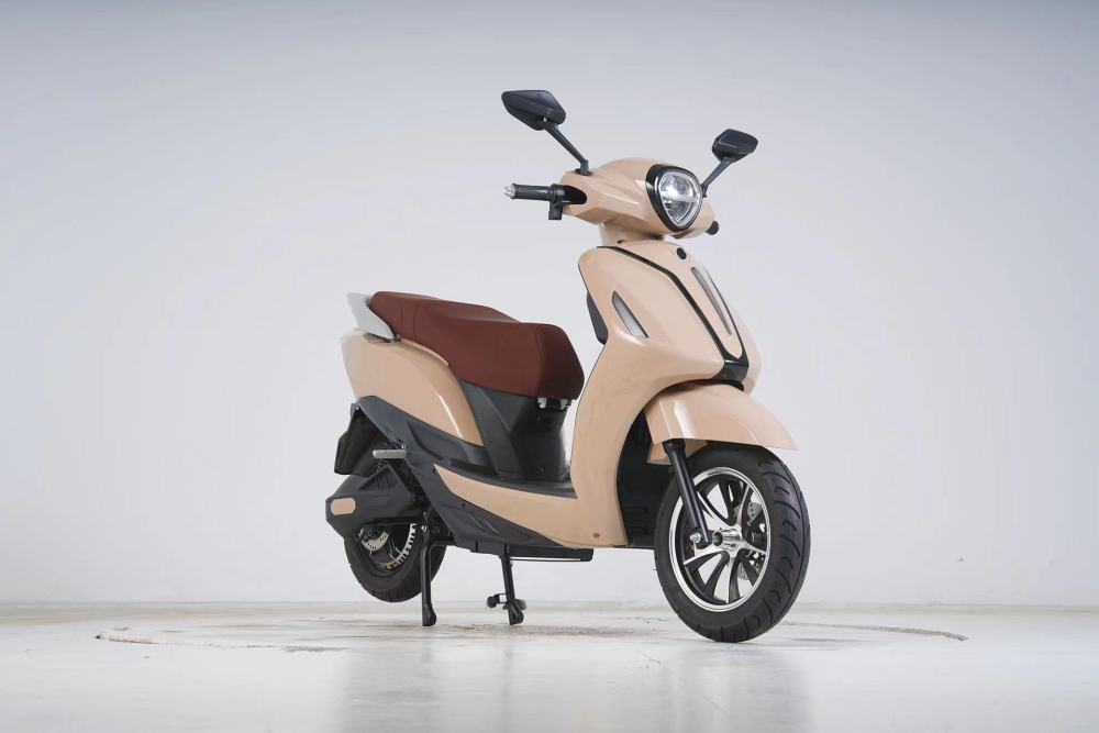 SHILU-CS3 Electric Scooter