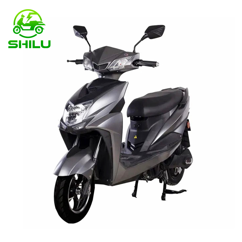 SHILU-ZHG Electric Scooter