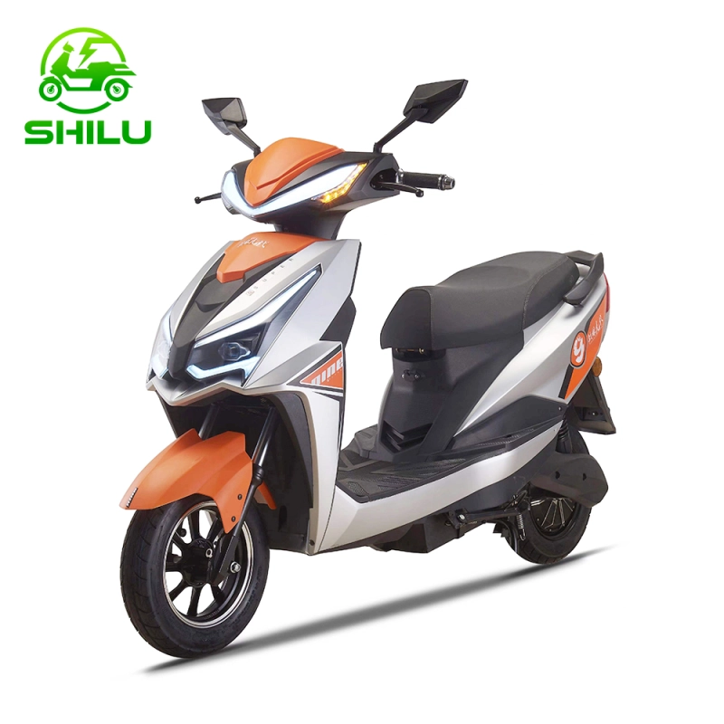 ZL9 electric scooter bike