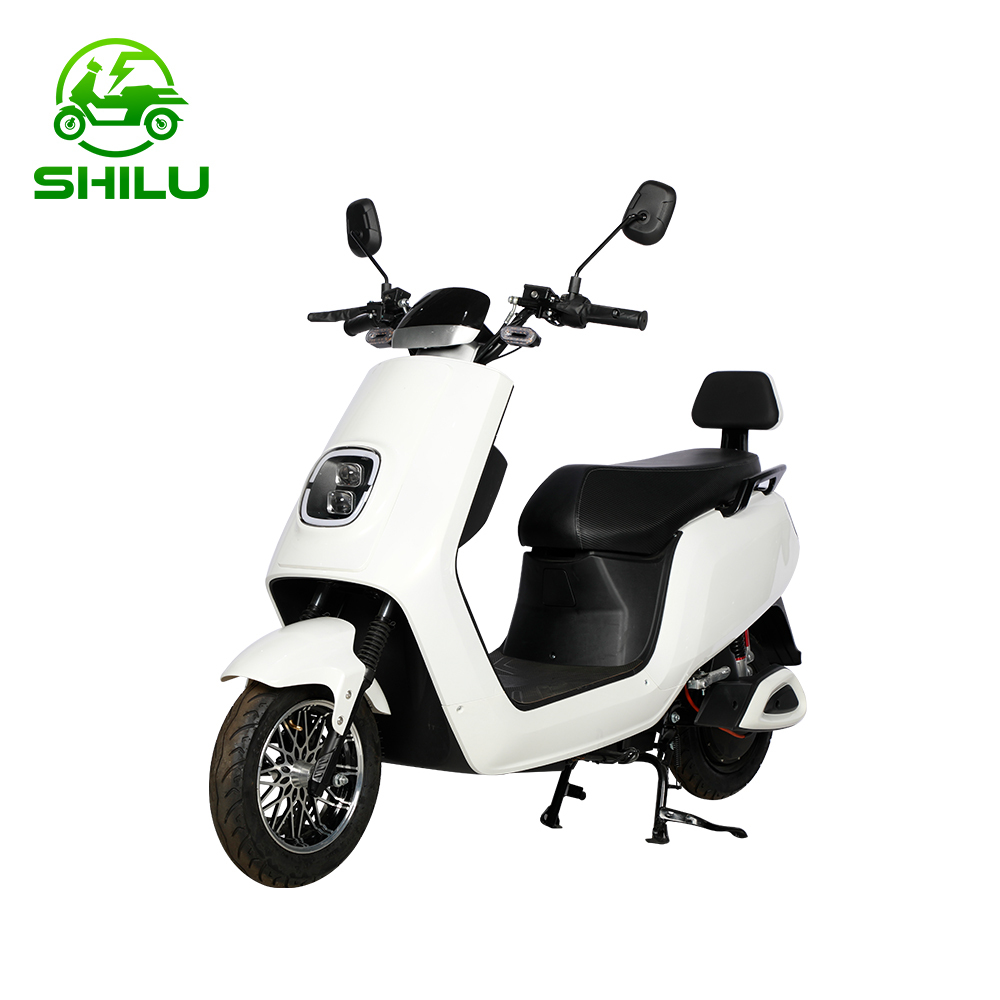 SHILU-FDN bike electric motorcycle