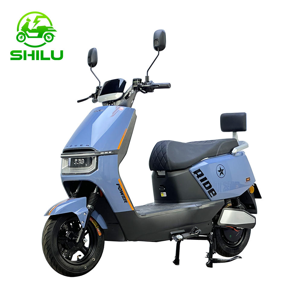 SHILU-ZHG Electric Scooter